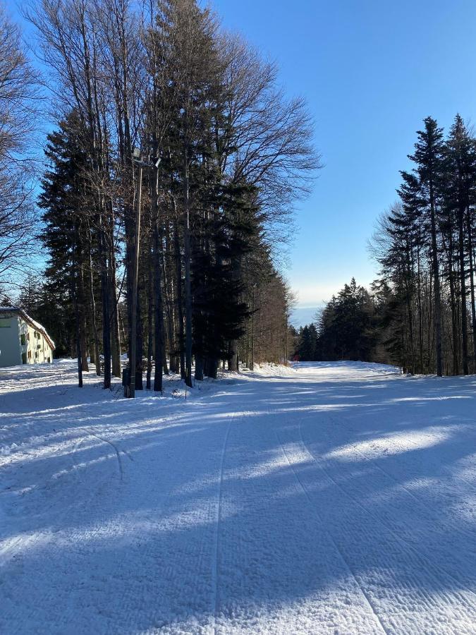 Apartamento Apartma Pohorje Hočko Pohorje Exterior foto